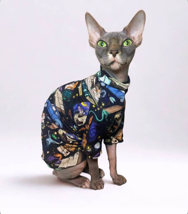 Back to Hogwarts Long Sleeve Bamboo Shirt