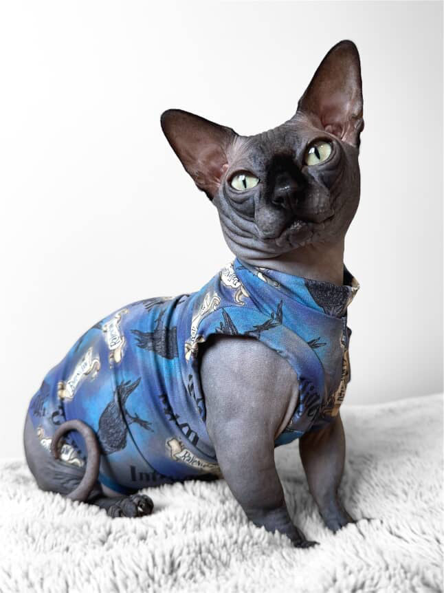 Ravenclaw Bamboo Shirt