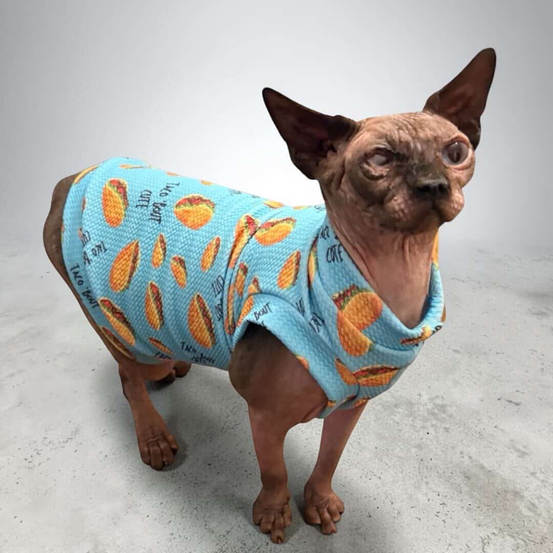 Taco Bout Cute Textured Shirt