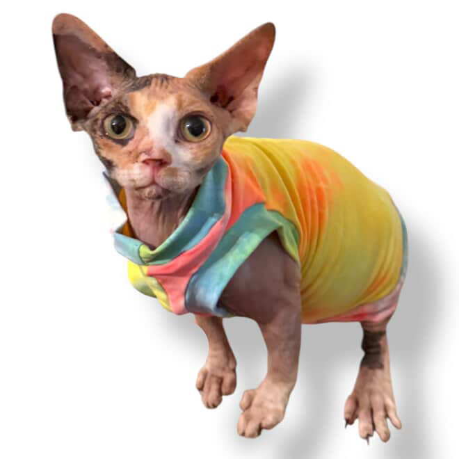 Neon Tie Dye Luxe Shirt