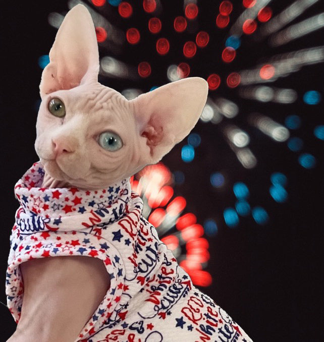 Cats for America by Twig and Tink
