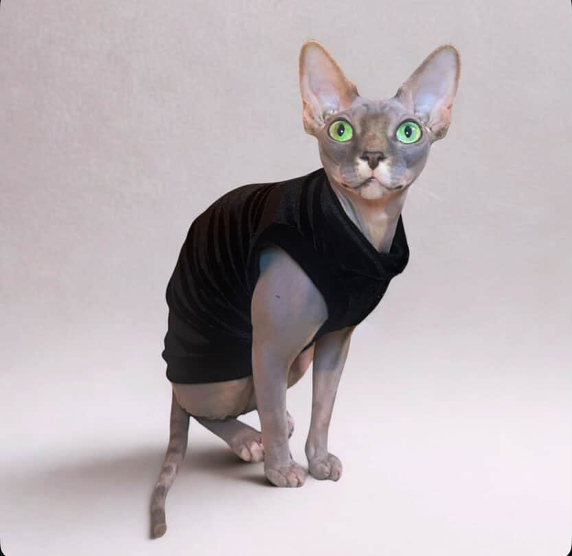 Black Velvet Shirt
