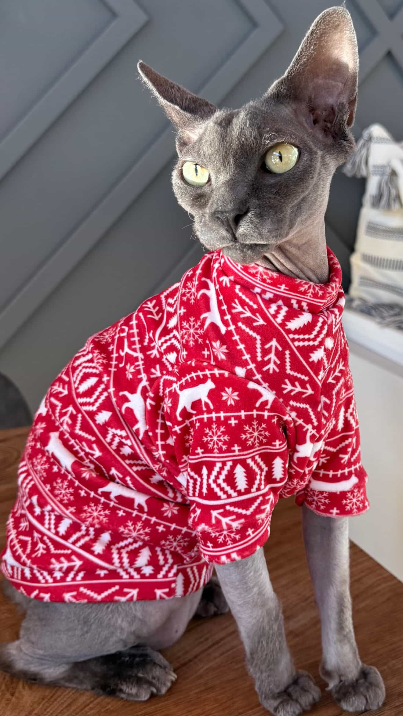 Cat Fair Isle Long Sleeve Fleece Shirt