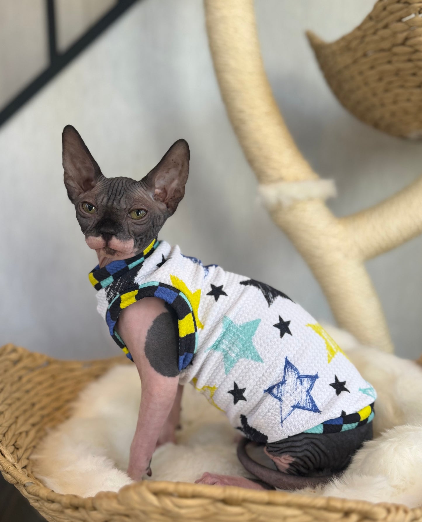 Rockstar Textured Shirt