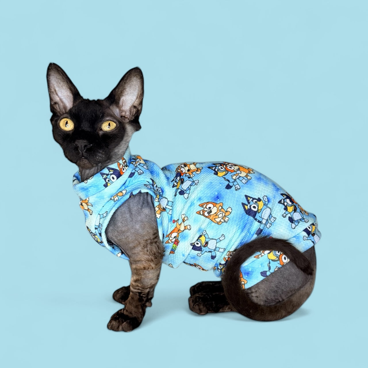 Bluey and Bingo Textured Shirt