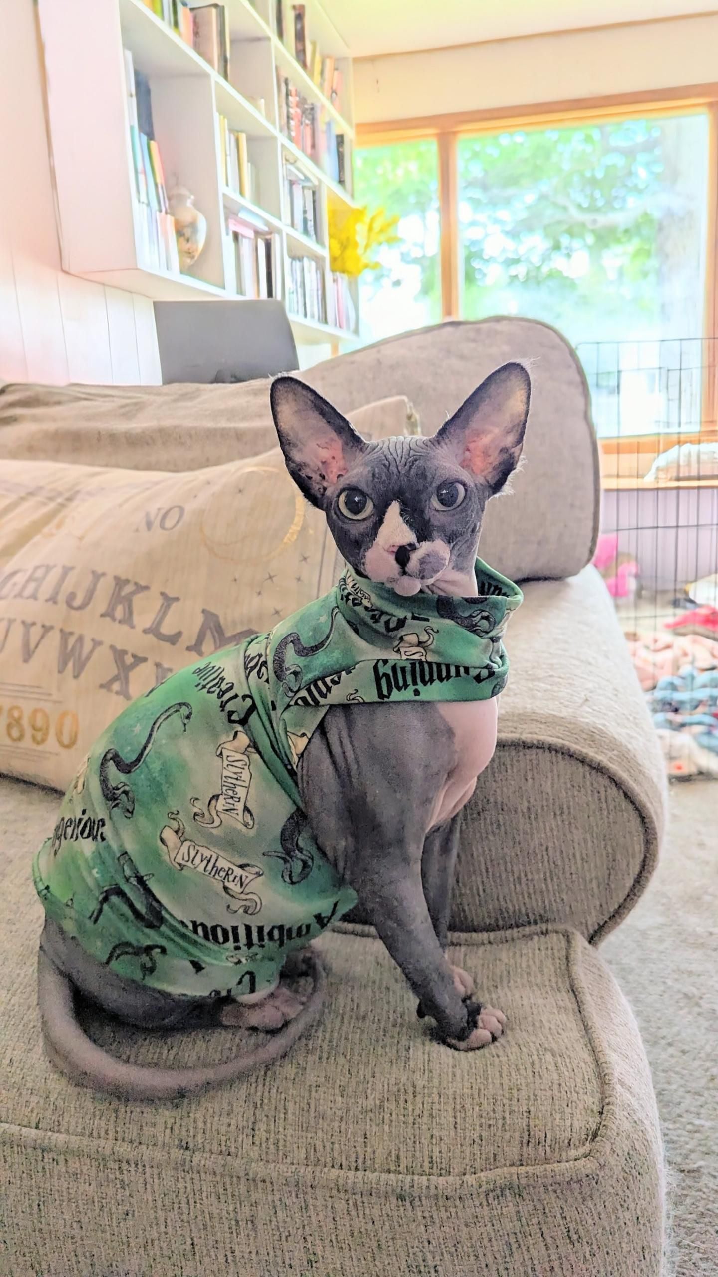 Slytherin Bamboo Shirt with One Arm Hole