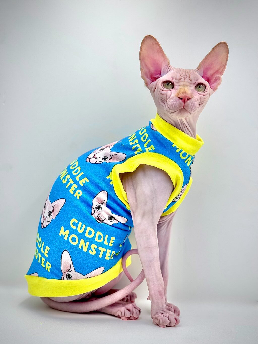 Blue Cuddle Monster Everyday Shirt
