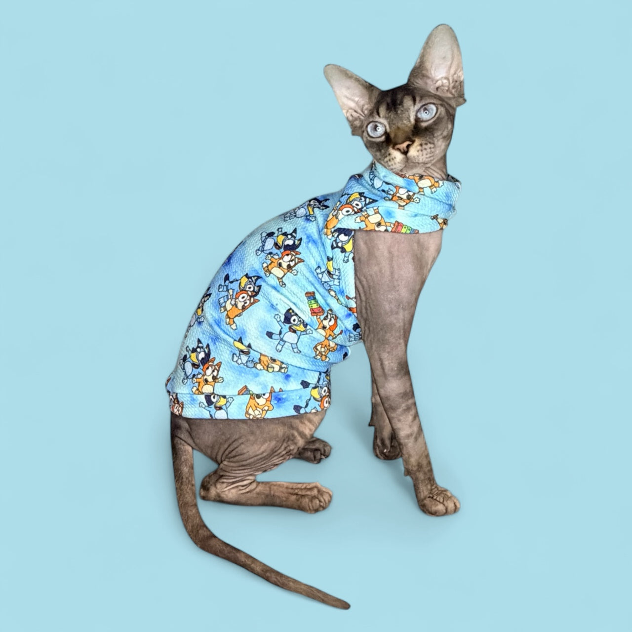 Bluey and Bingo Textured Shirt with One Arm Hole
