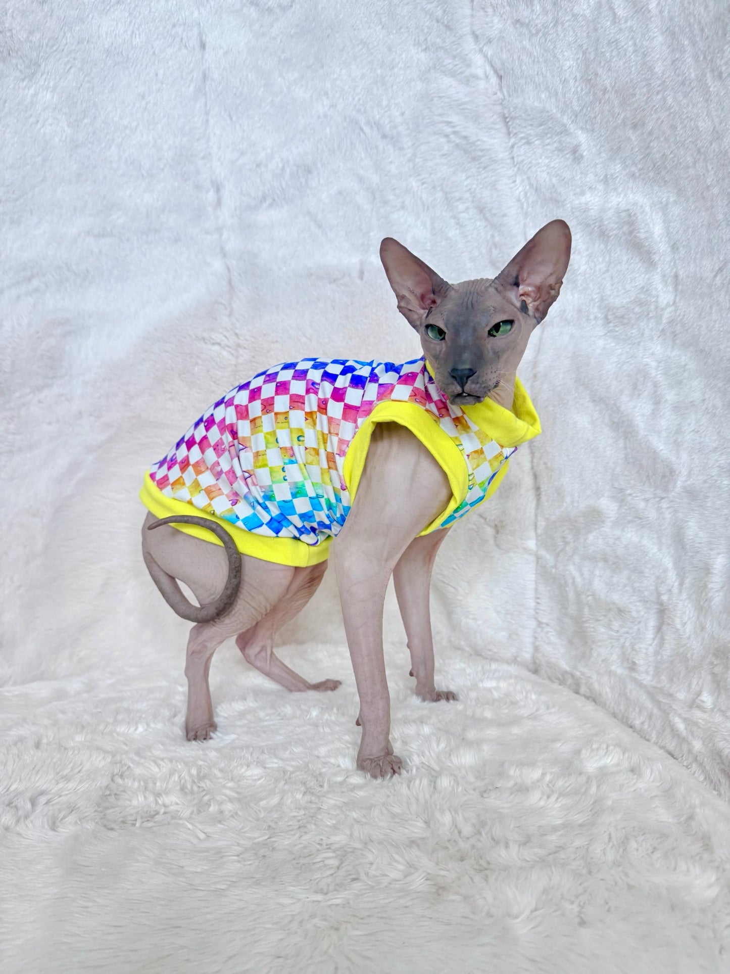 Checkered Charm Everyday Shirt