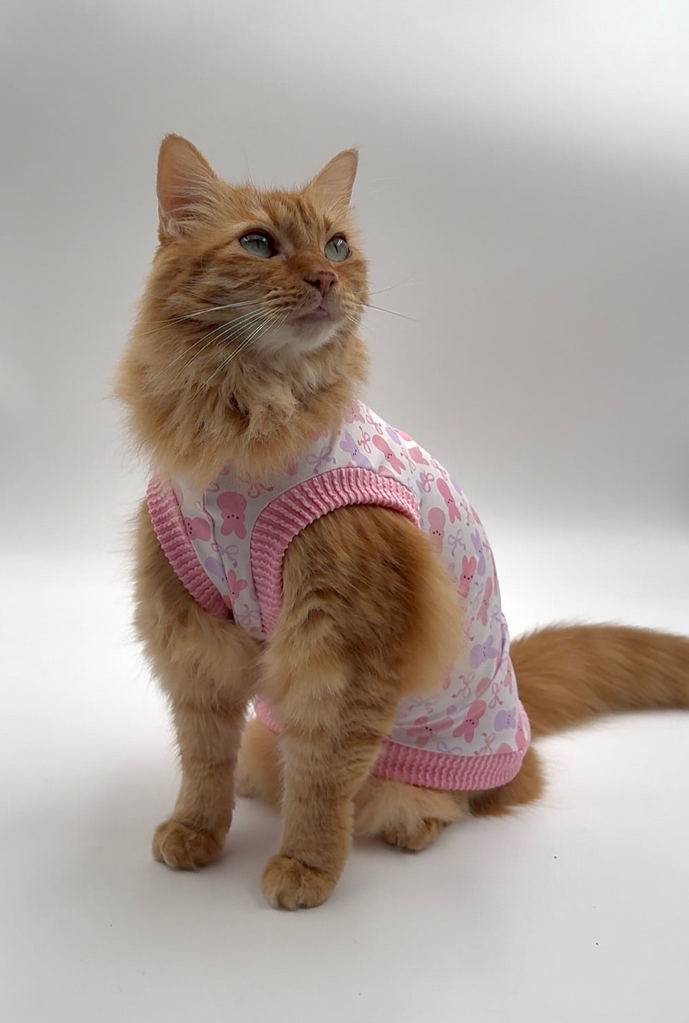 Pink Peeps Everyday Shirt