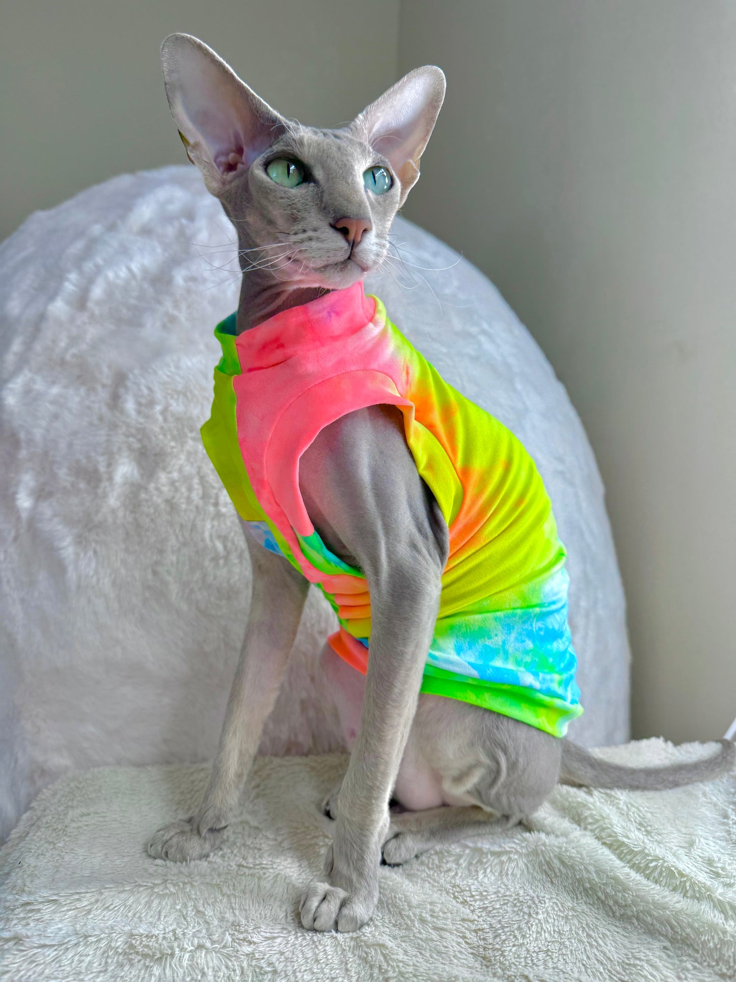 Neon Tie Dye Luxe Shirt