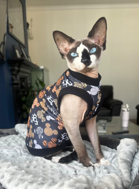 Safari Adventures by @minnie.the.sphynx.m