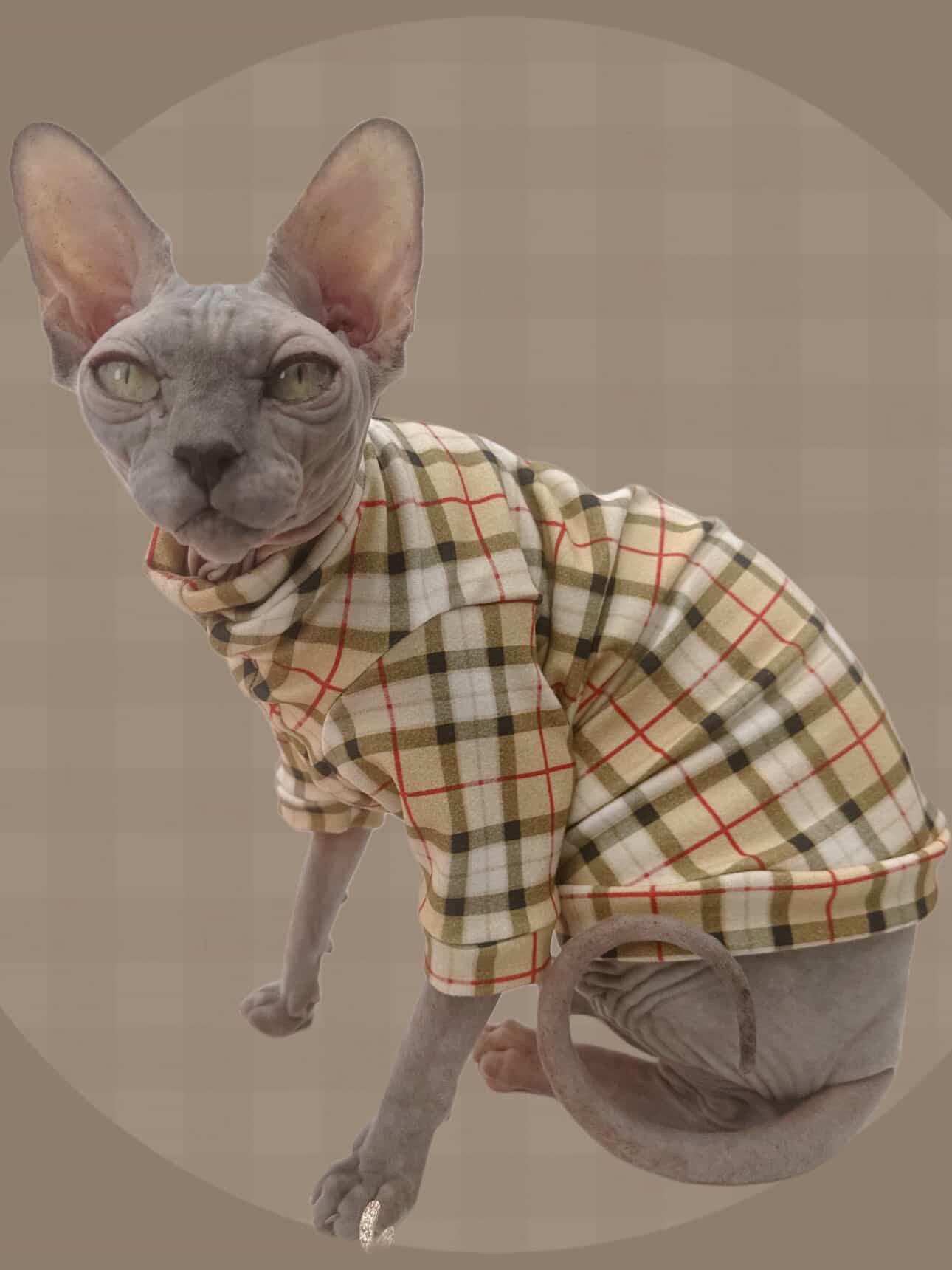 Luxury Plaid Long Sleeve Lightweight Sweatshirt