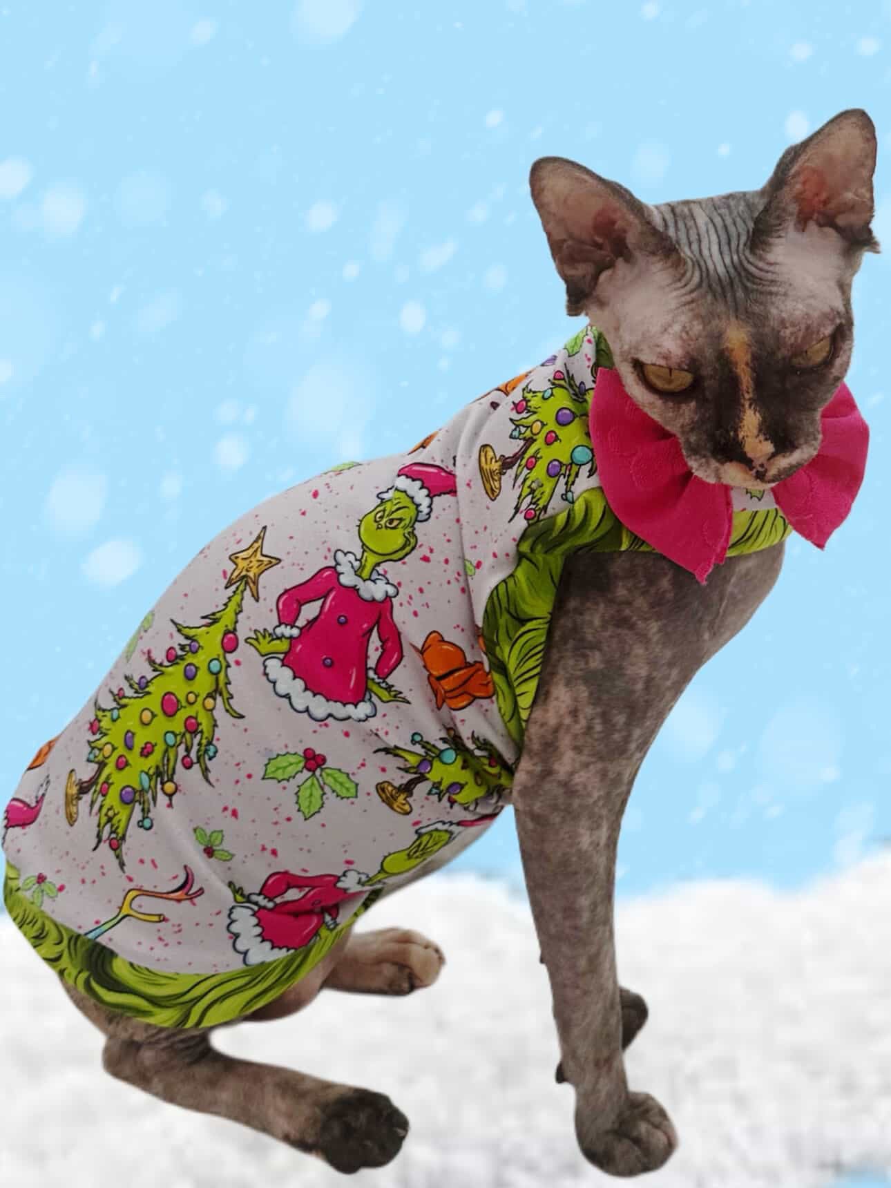 Grinch and Max Everyday Shirt with One Arm Hole