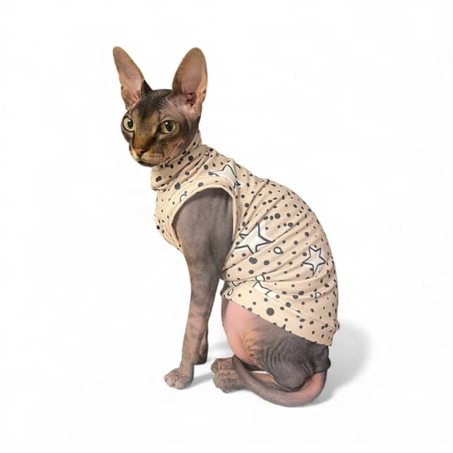 Super Star Lightweight Sweatshirt