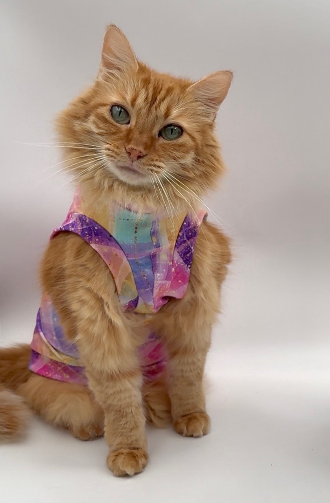 Spring Plaid Everyday Shirt