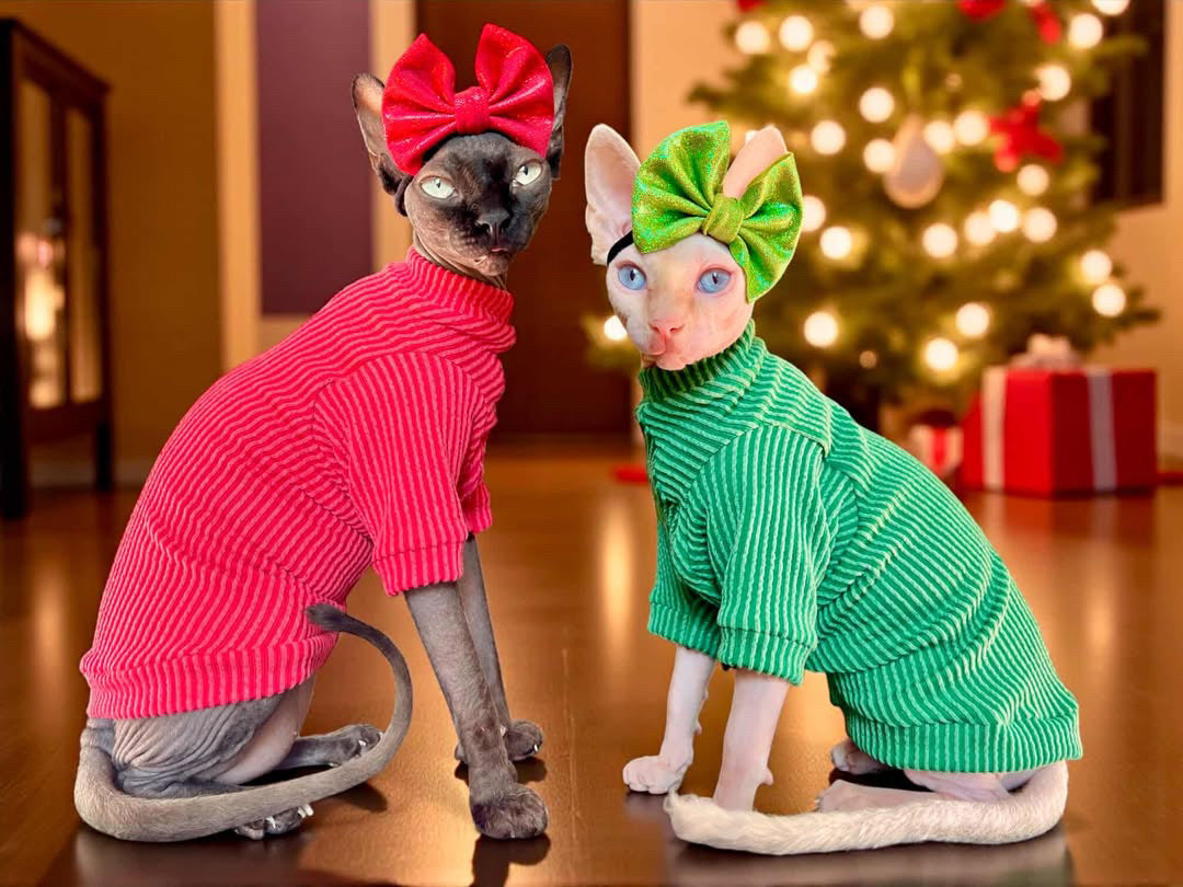 Christmas Red Long Sleeve Chunky Ribbed Shirt