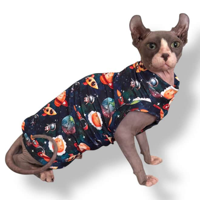 Journey to Space Luxe Shirt