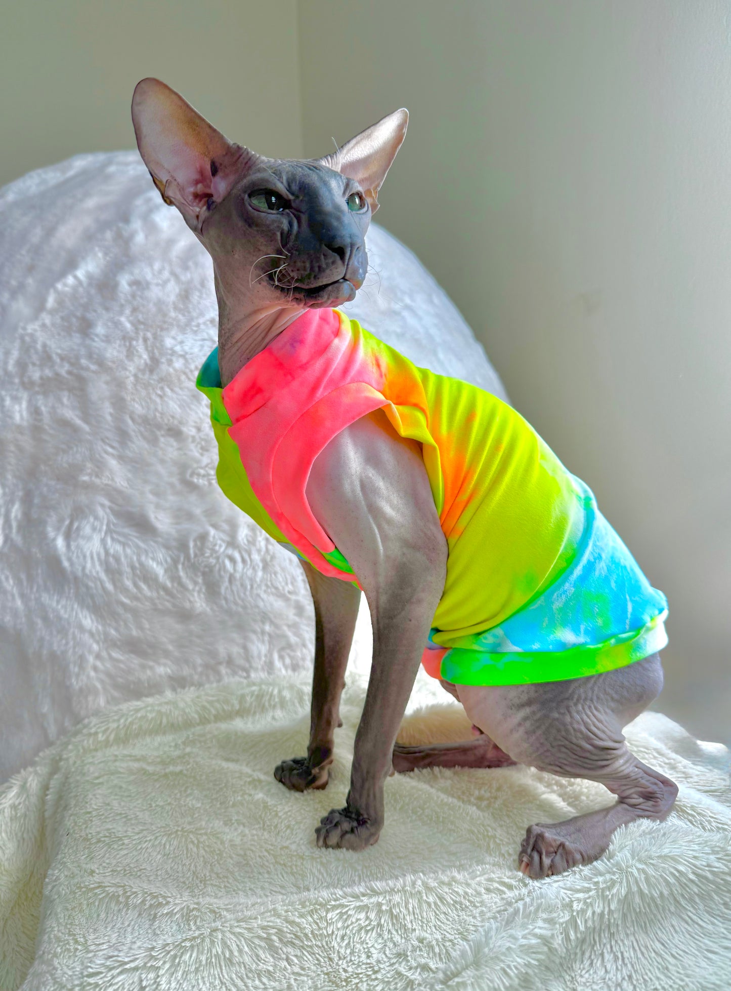 Neon Tie Dye Luxe Shirt
