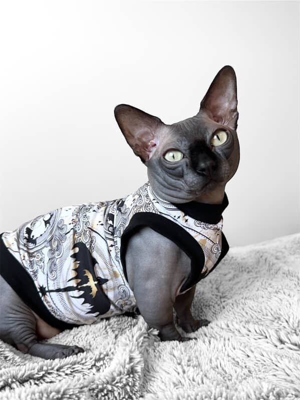 Fourth Wing Everyday Shirt