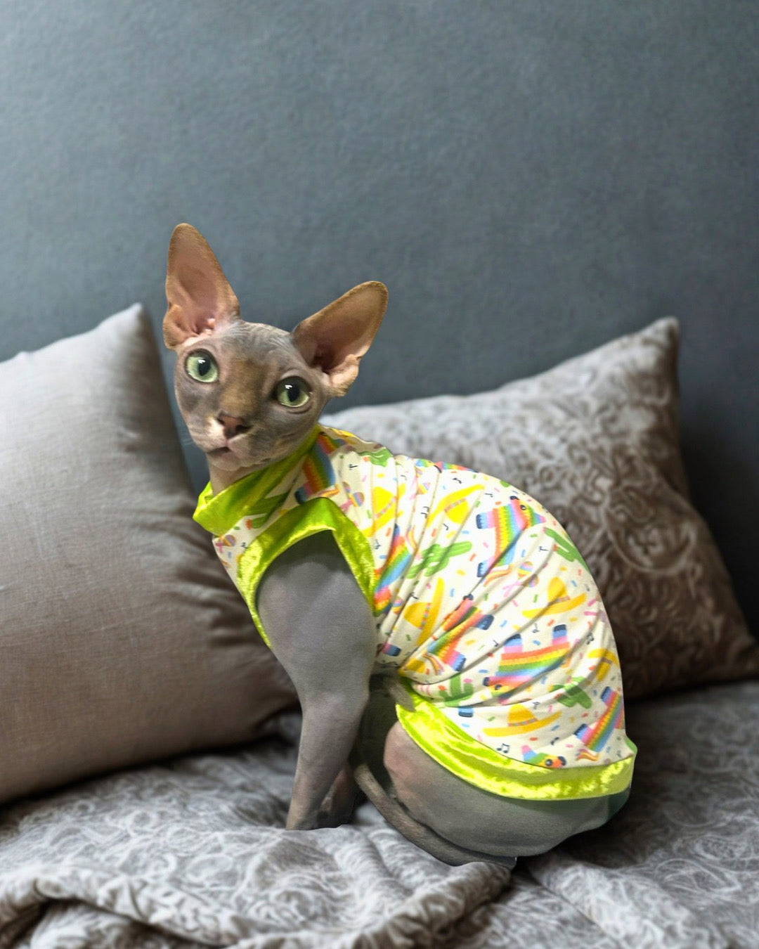 Piñata Party Everyday Shirt