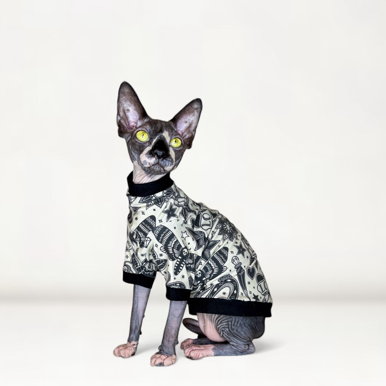 Cattoo Parlor Long Sleeve Everyday Shirt