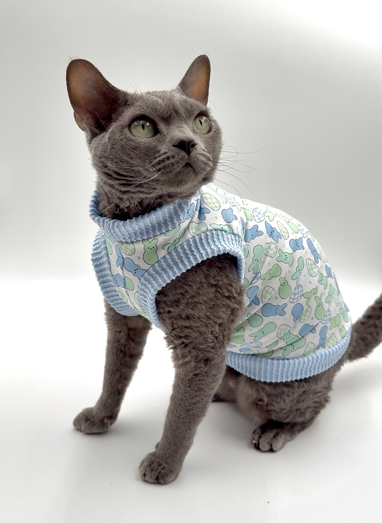 Blue Peeps Everyday Shirt