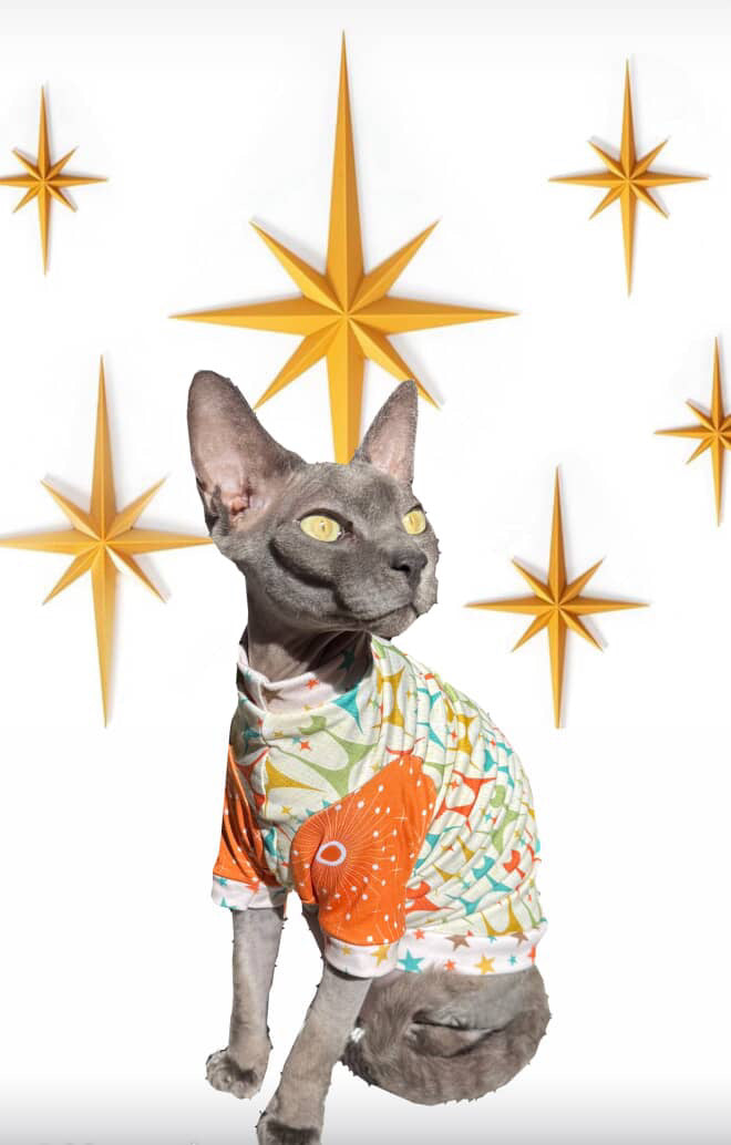 Mid-Century Meow by @twig.y.smallz