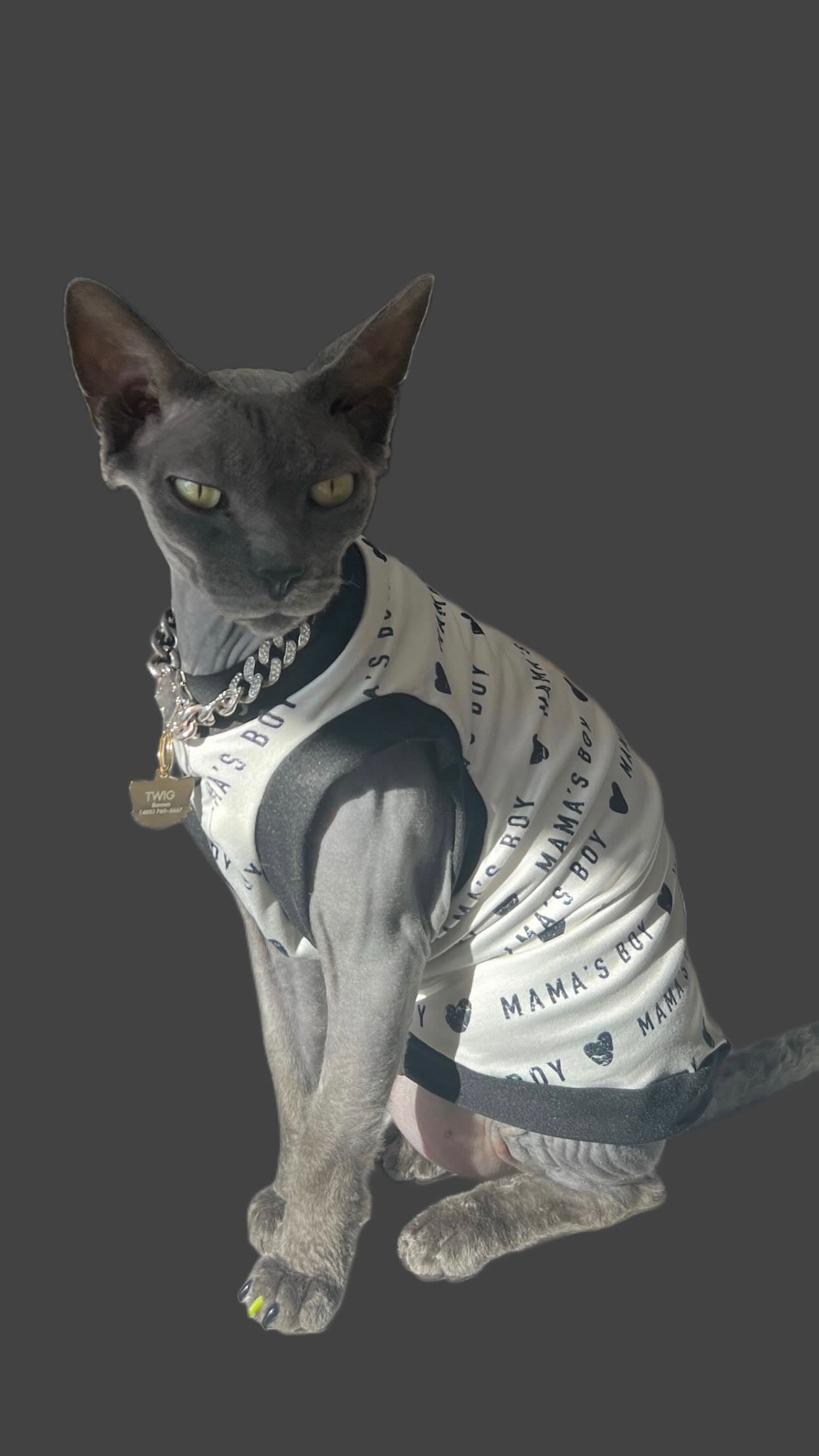 Momma’s Boy Luxe Shirt
