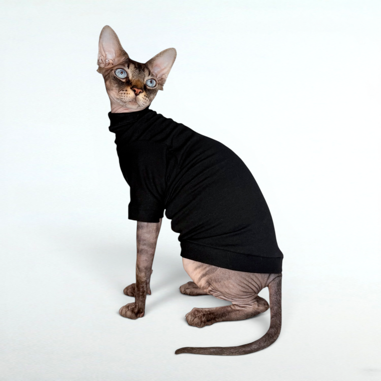 Black Long Sleeve Everyday Shirt