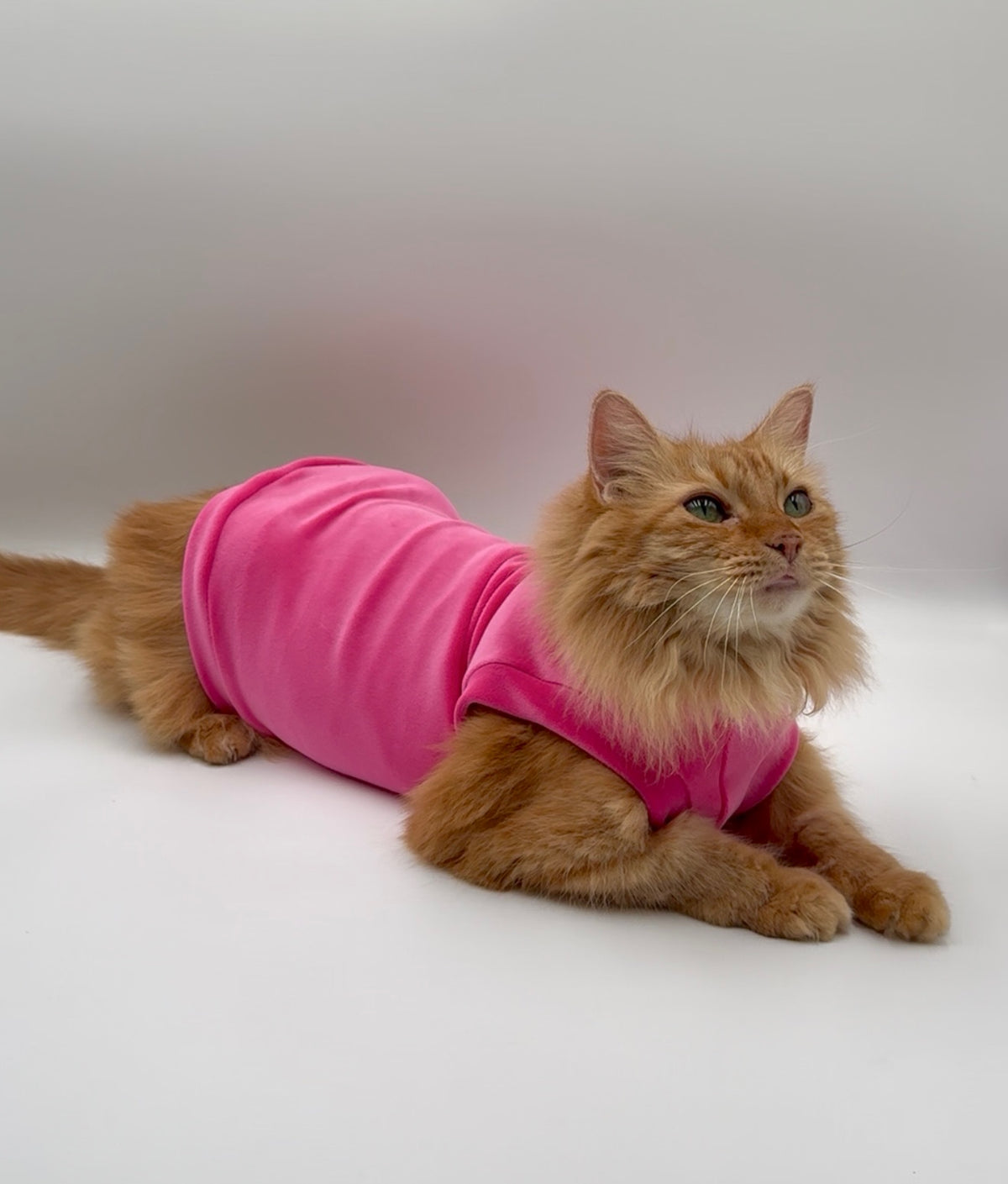 Spring Fling Queen Plush Velvet Shirt