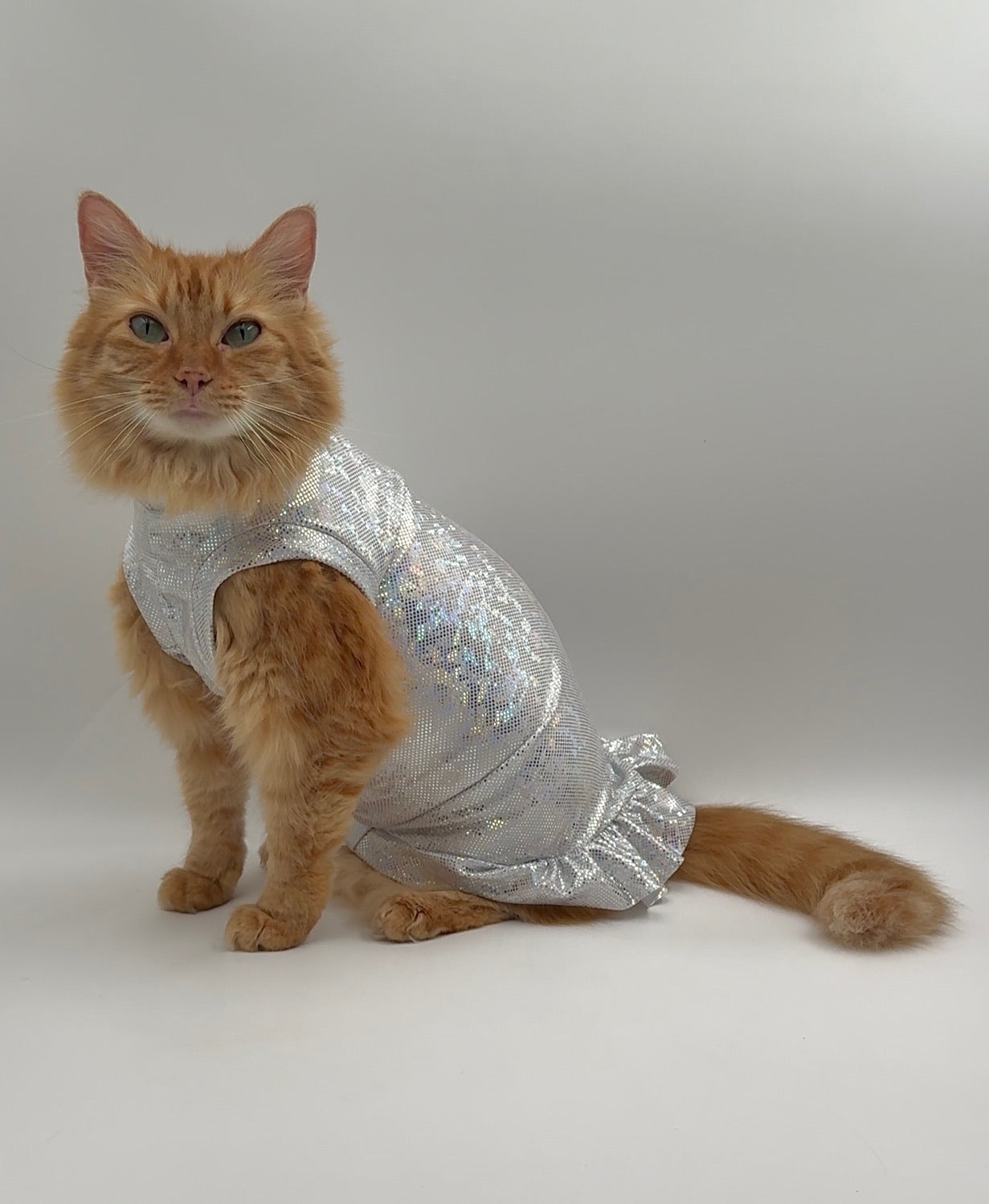 Silver Lining Ruffle Butt Fashion Shirt (Both Arm Styles)