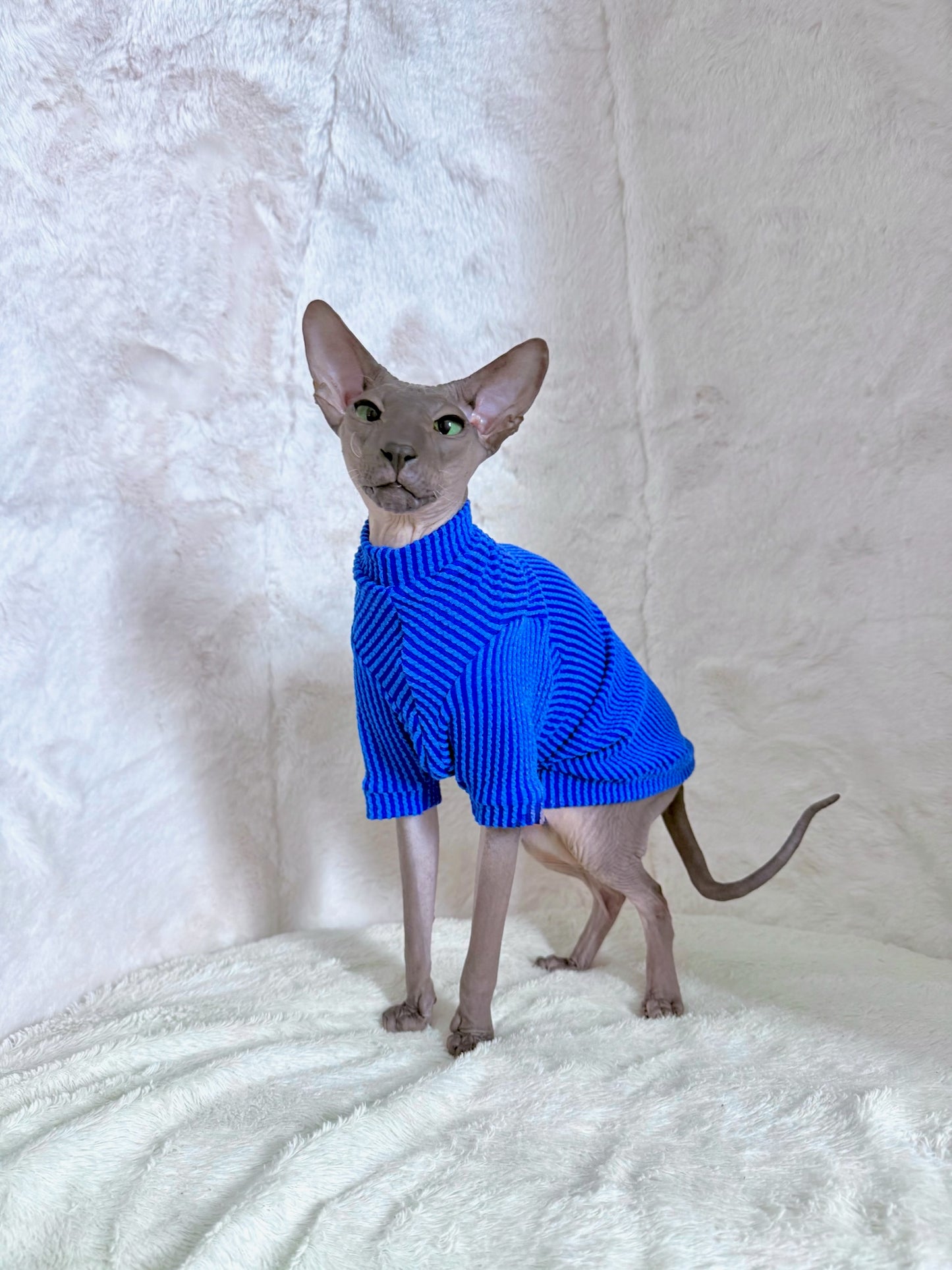 Royal Blue Long Sleeve Chunky Ribbed Shirt