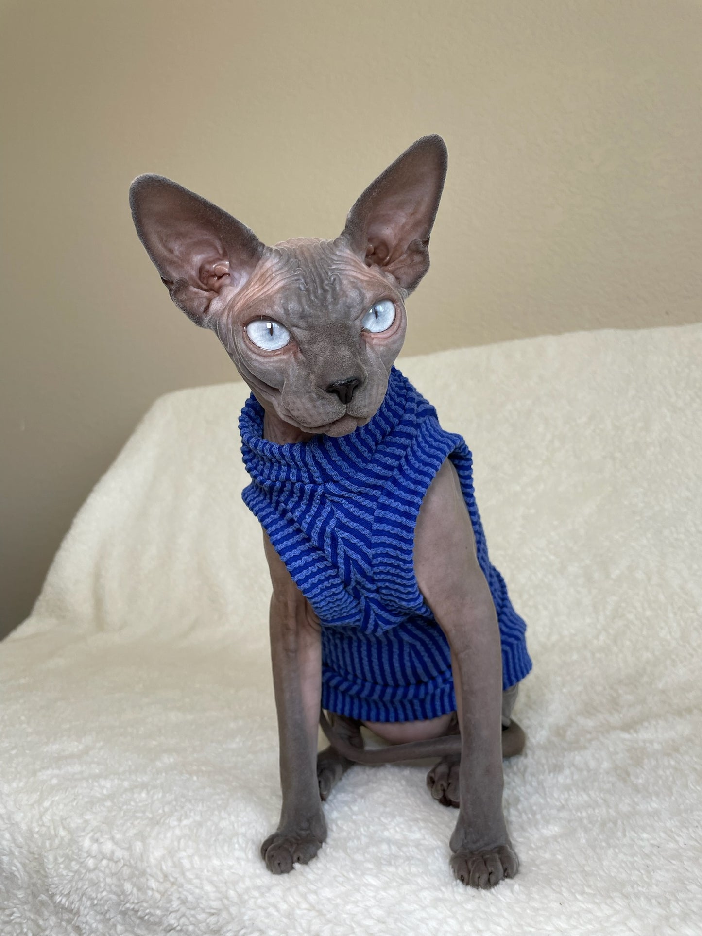 Royal Blue Chunky Ribbed Shirt