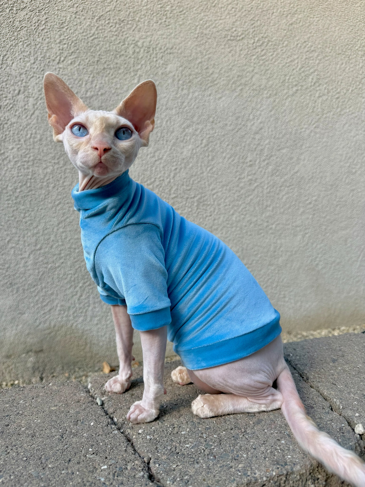 Denim Long Sleeve Plush Velvet Shirt