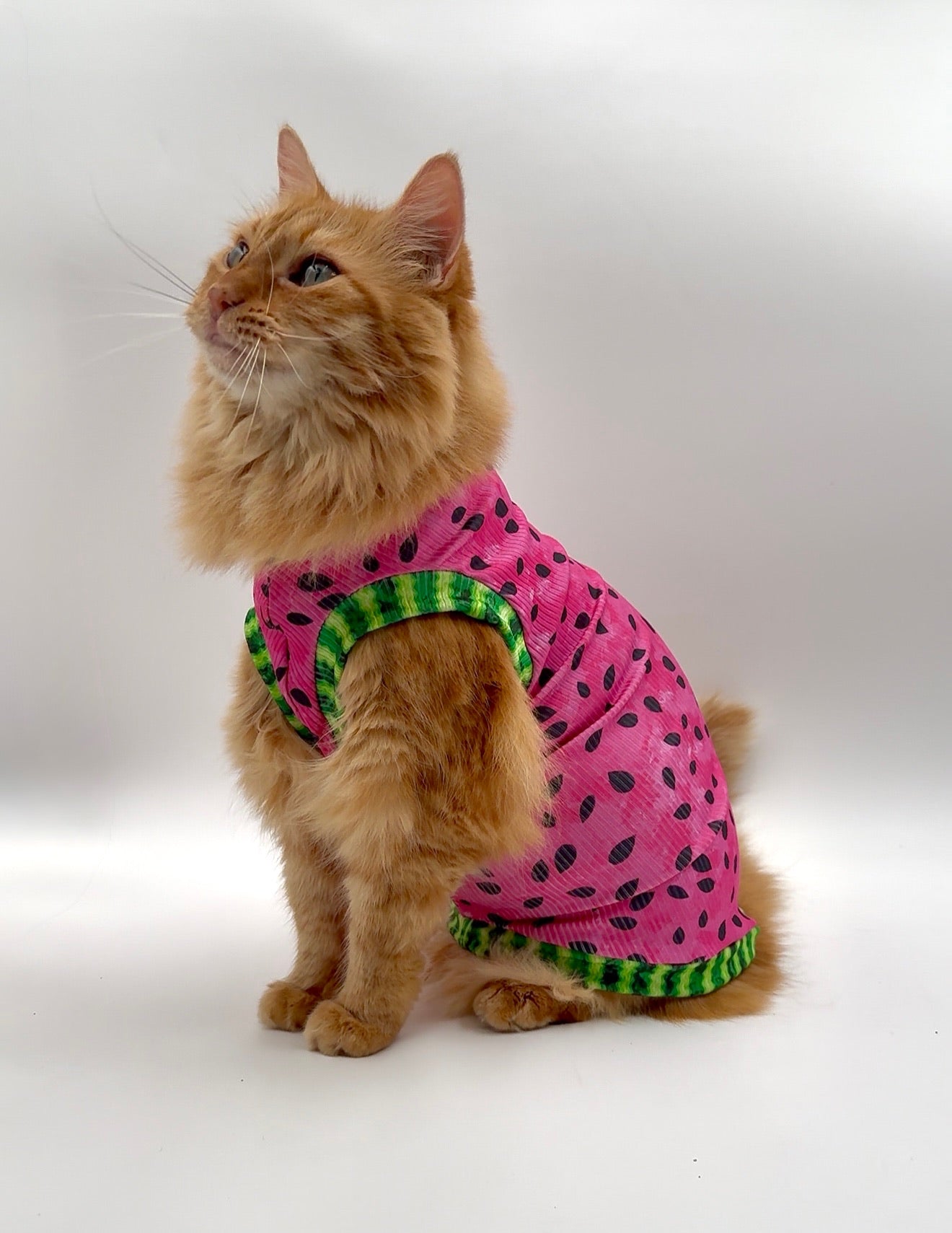Watermelon Sugar Ribbed Shirt
