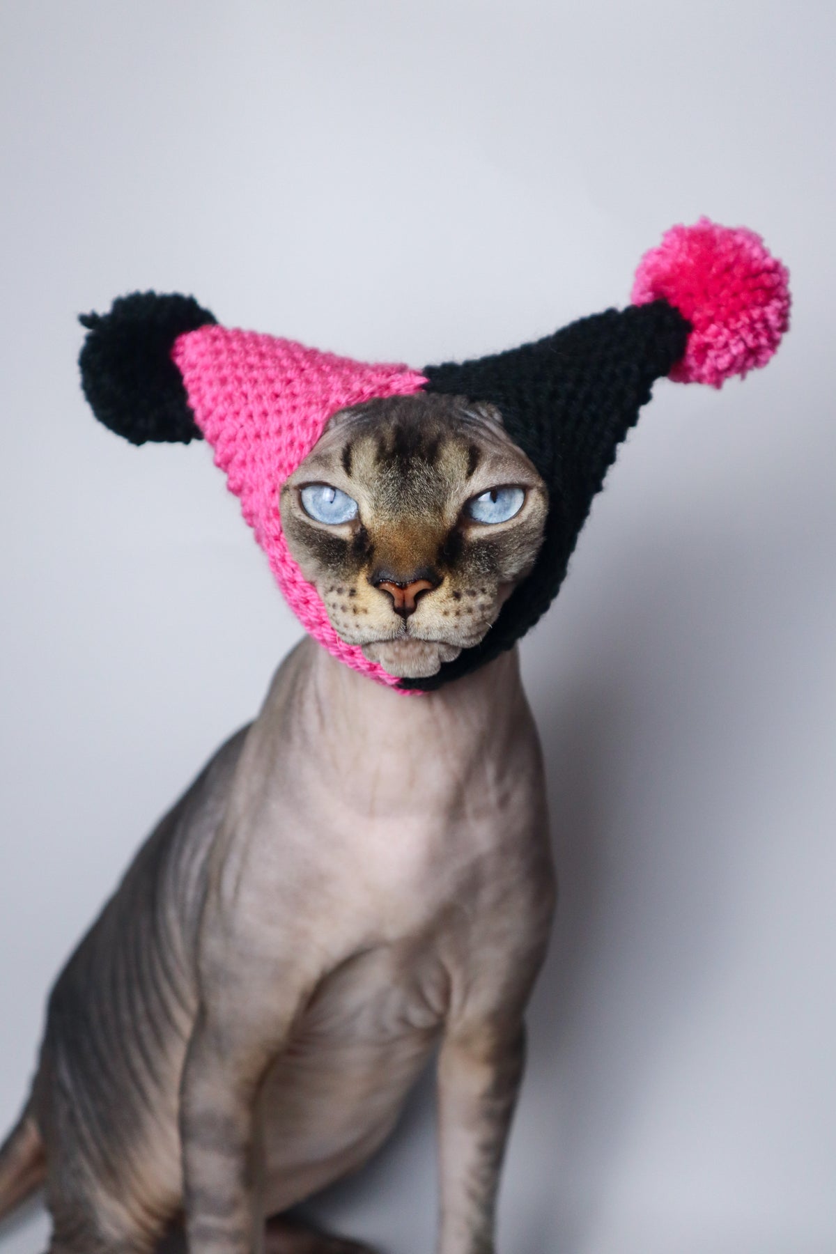 Black & Pink Knit Hat