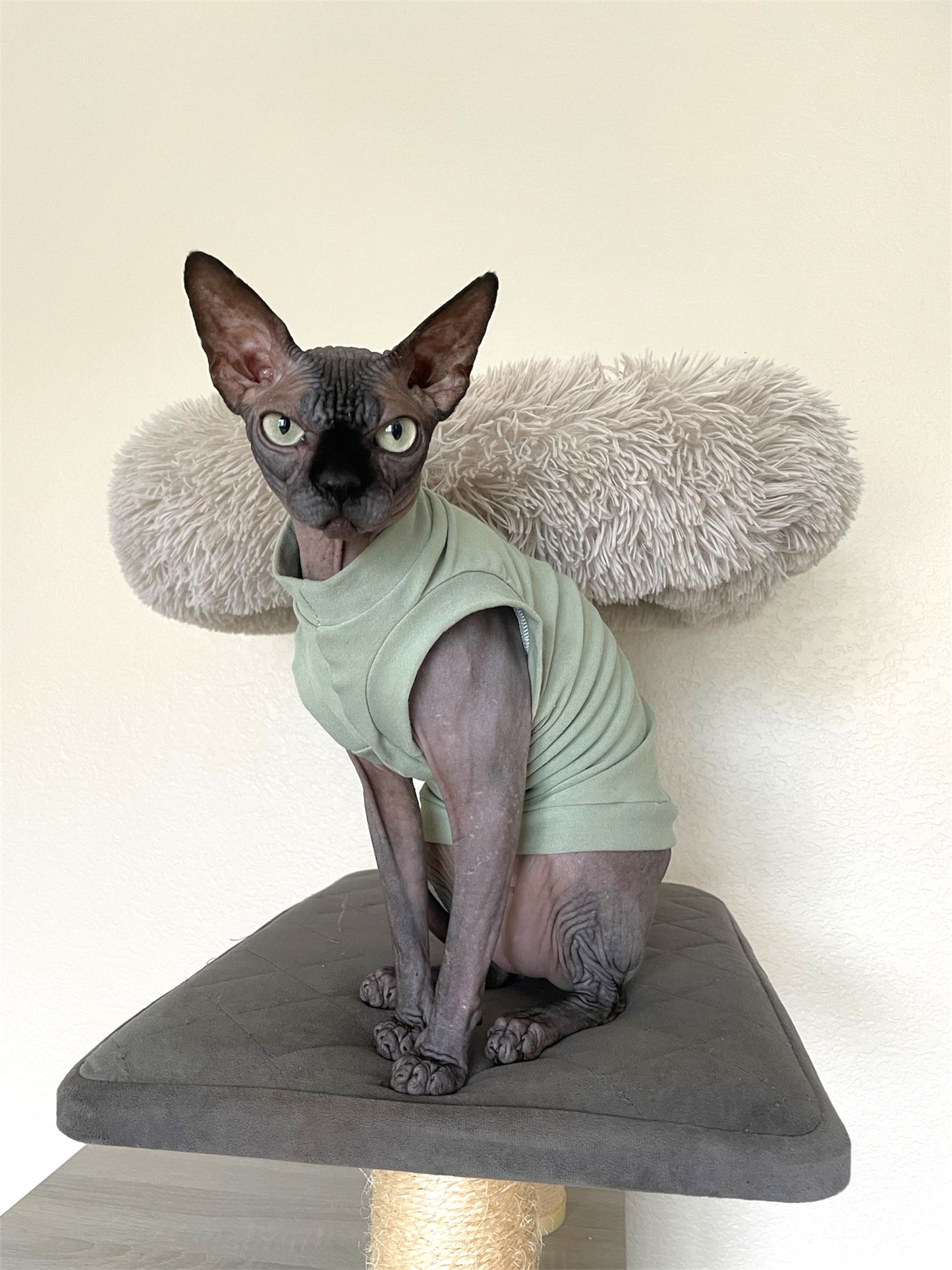 Sage Everyday Shirt
