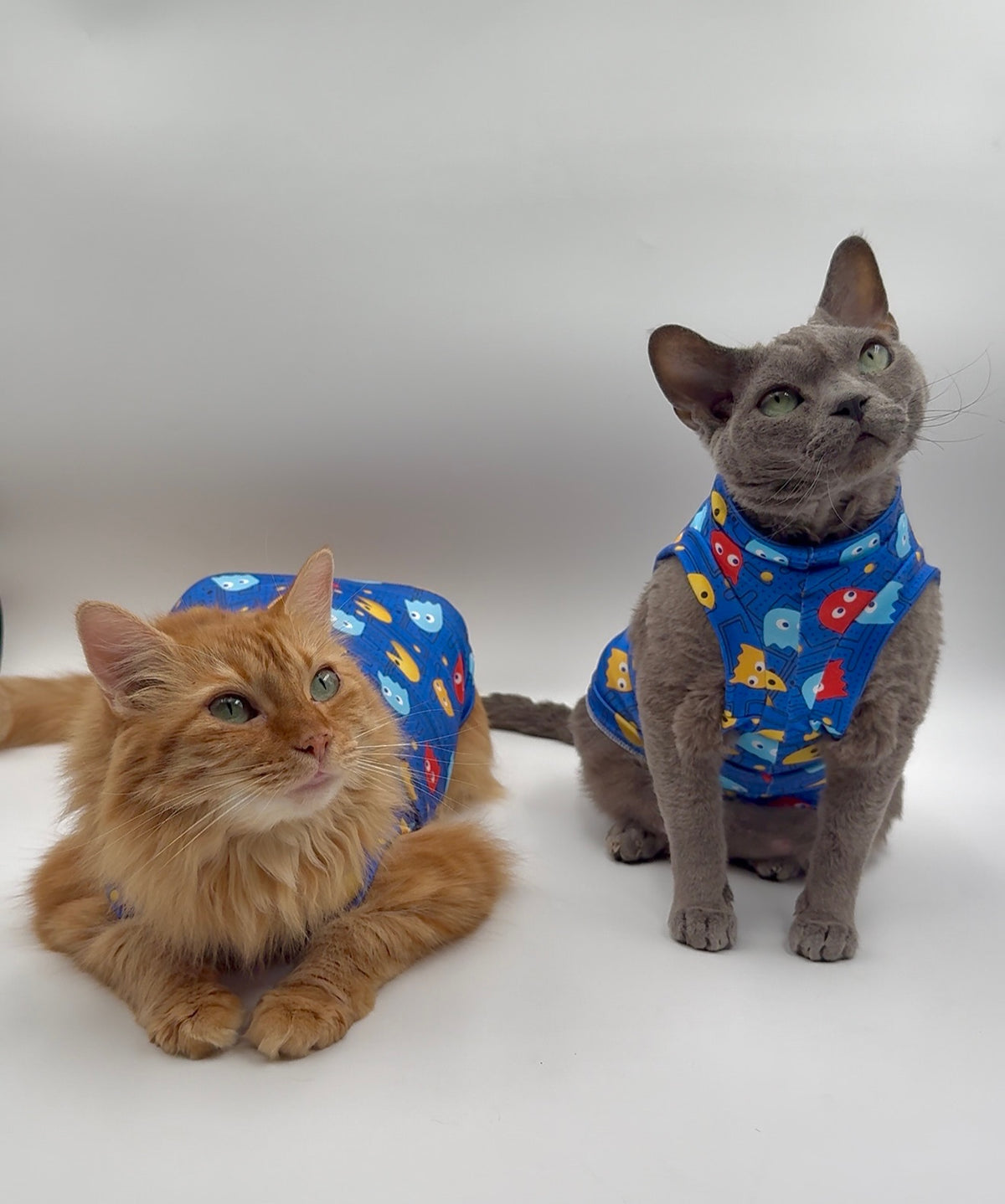 Pac-Cat Luxe Shirt