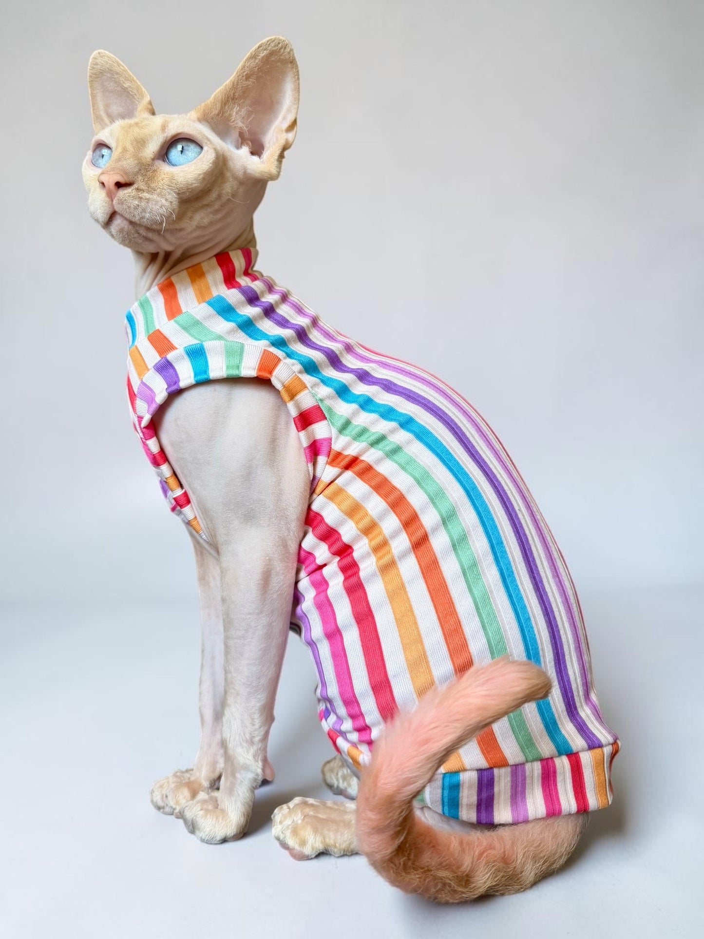 Tutti Frutti Ribbed Shirt