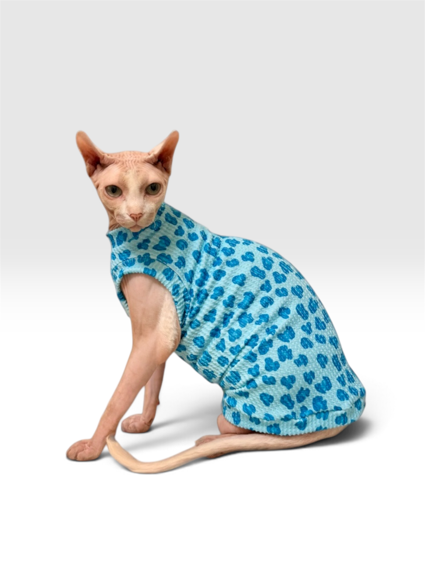 Blue Razz Leopard Chunky Ribbed Shirt