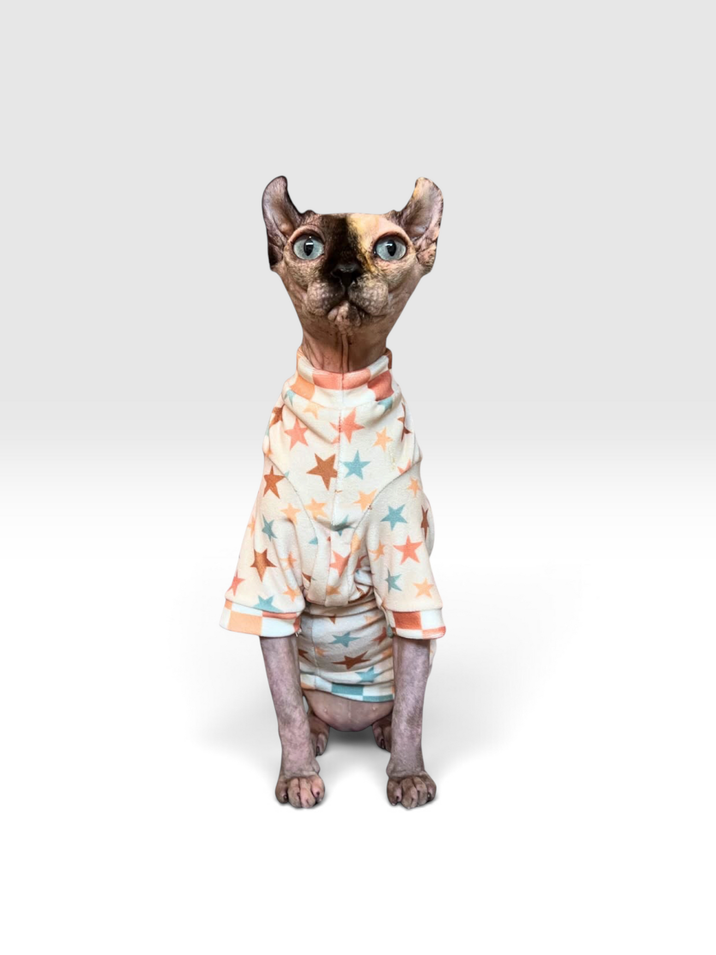 Stargazer Long Sleeve Plush Velvet Shirt