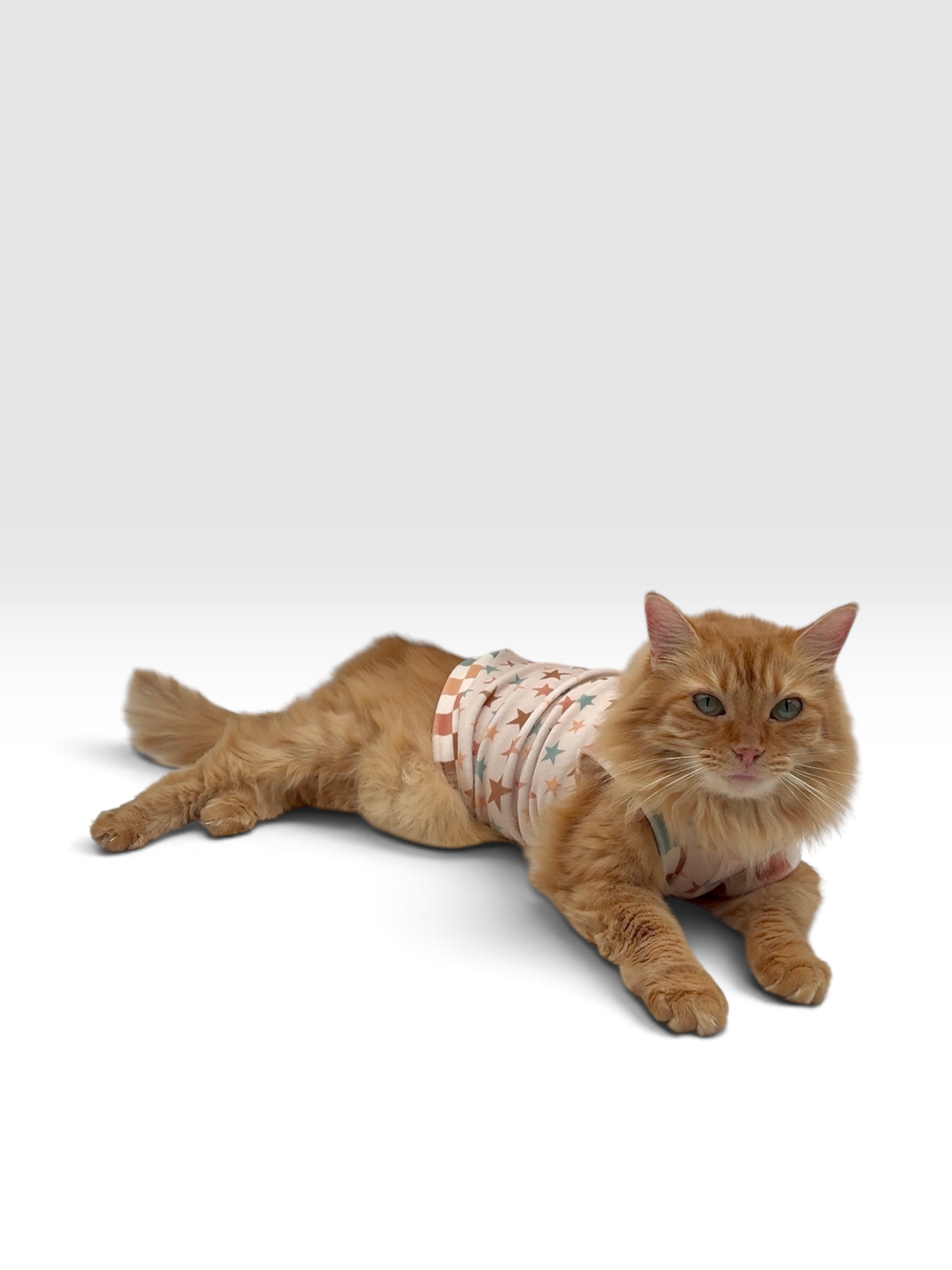 Stargazer Plush Velvet Shirt