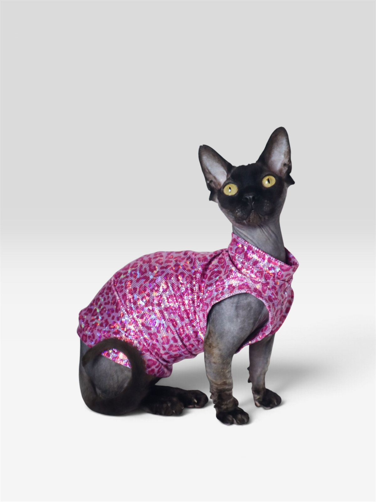 I'm A Cool Cat Fashion Shirt