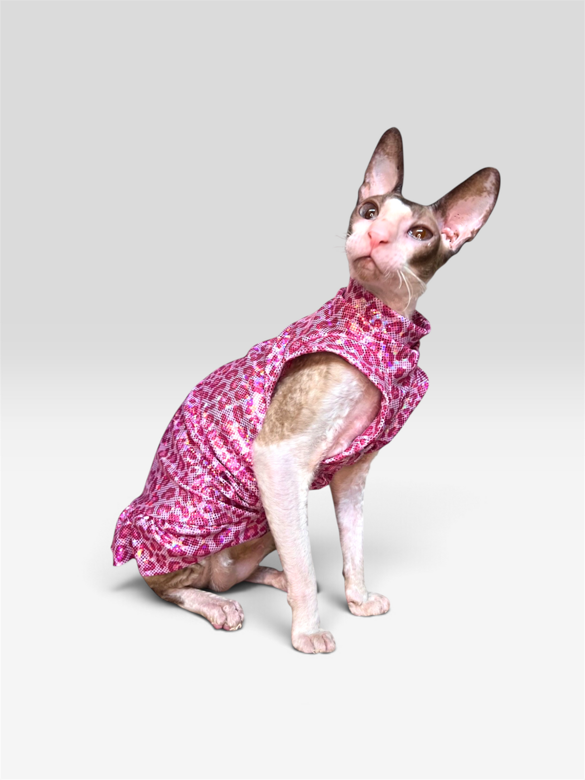 I'm A Cool Cat Ruffle Butt Fashion Shirt (One or Two Arm Hole)