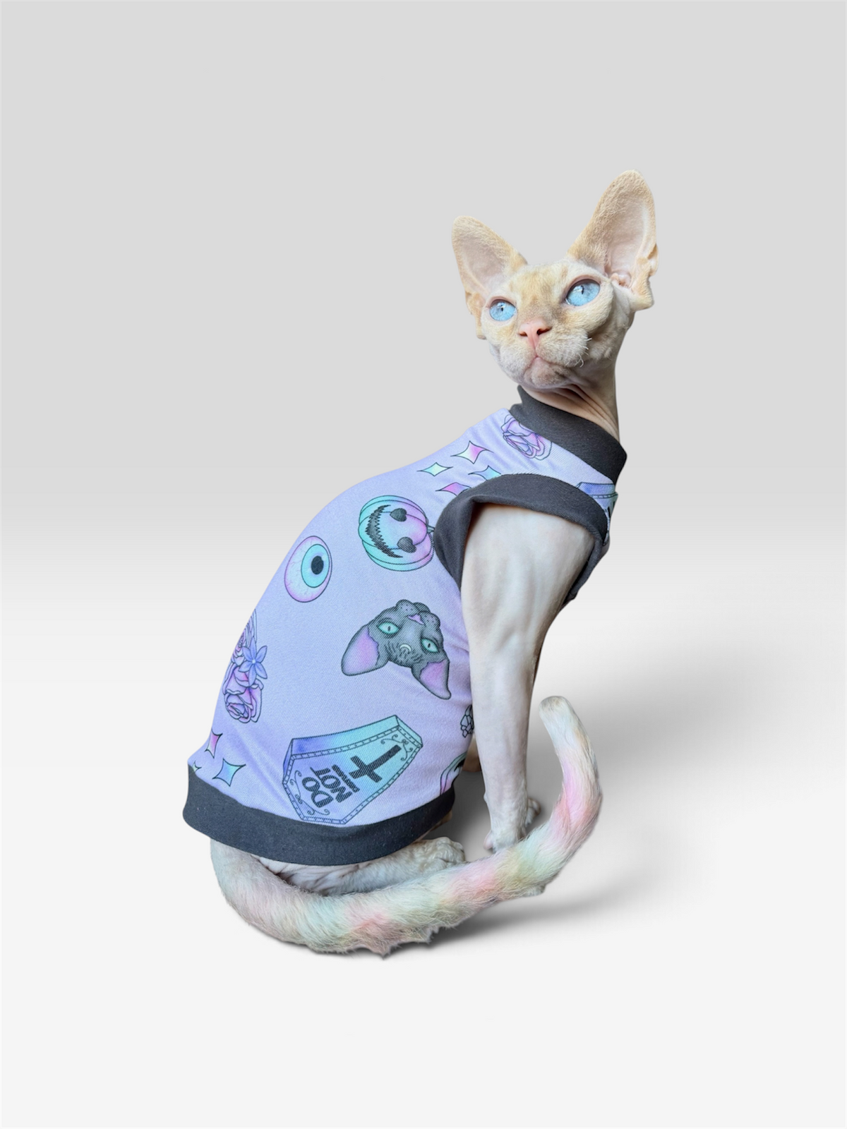 You Can't Meow With Us Butter Knit Shirt