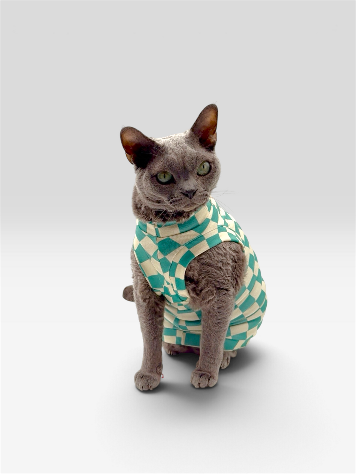 Vibe Check Butter Knit Shirt