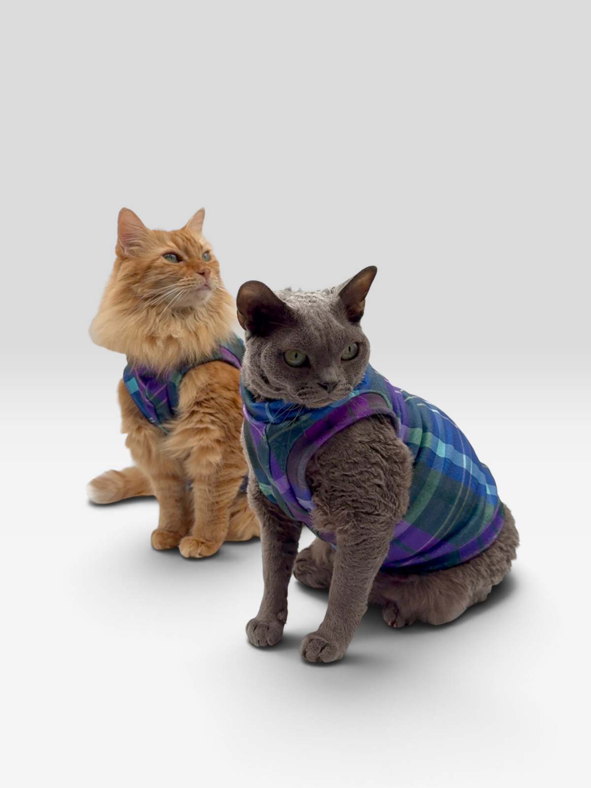 Midnight Canyon Fleece Shirt