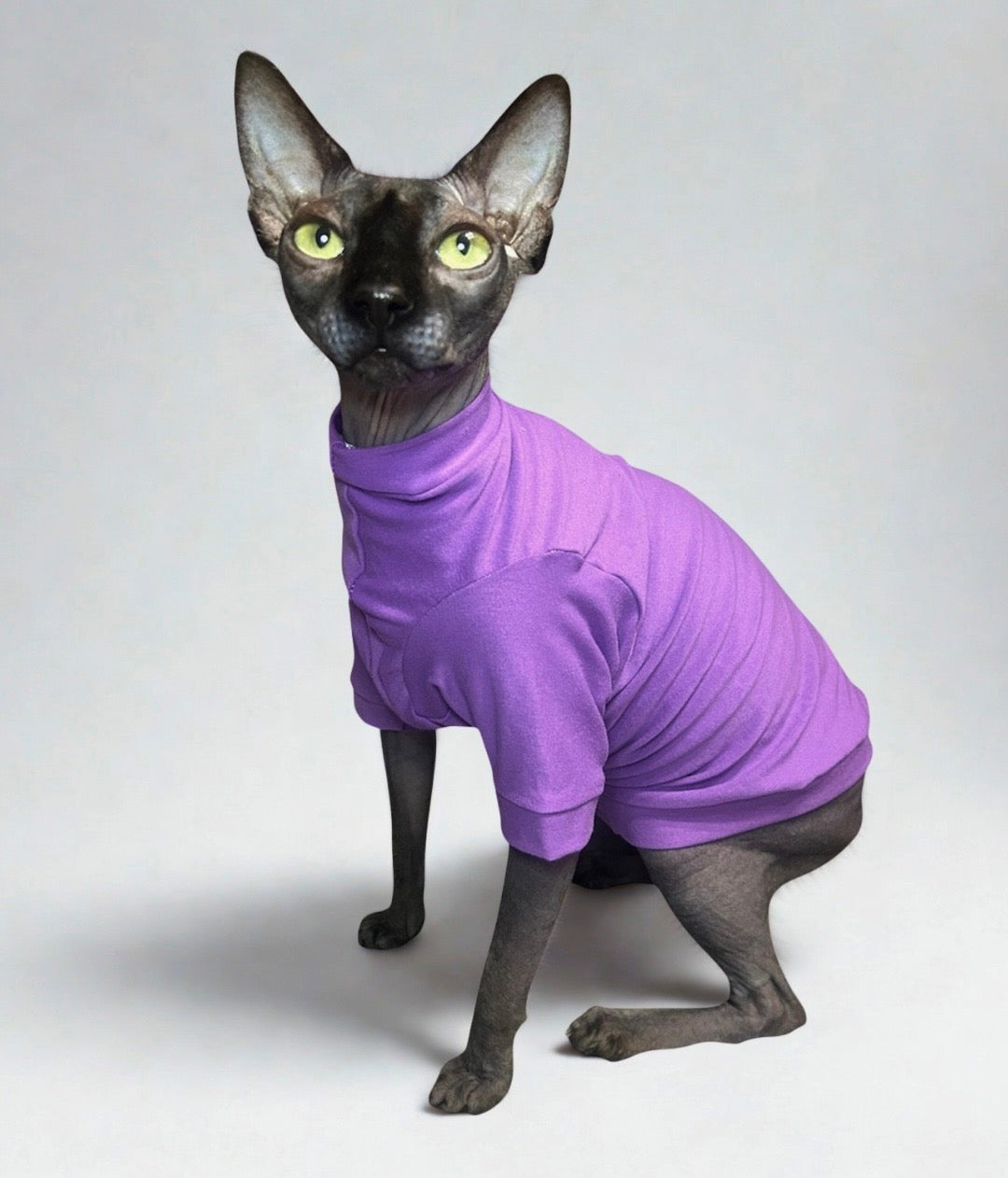 Lavender Long Sleeve Everyday Shirt