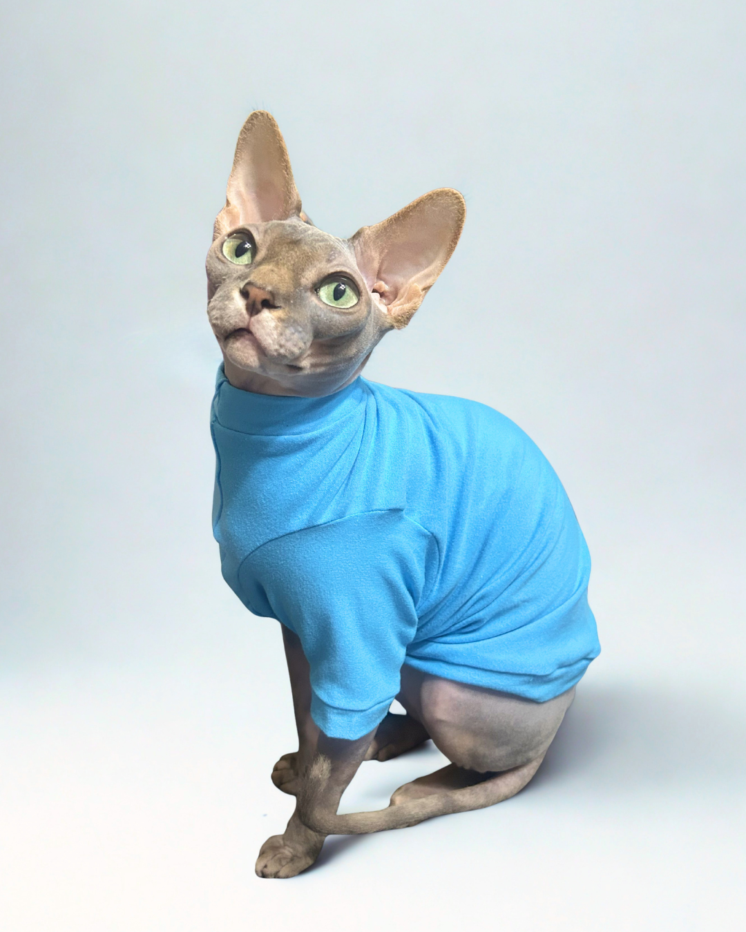 Aqua Long Sleeve Everyday Shirt